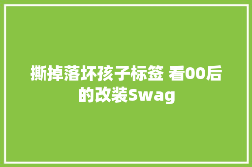 撕掉落坏孩子标签 看00后的改装Swag