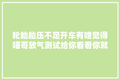 轮胎胎压不足开车有啥觉得喵哥放气测试给你看看你就清楚了