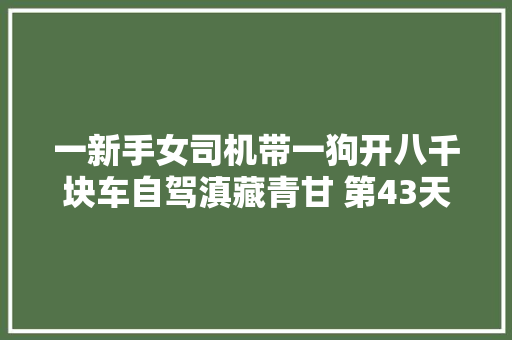 一新手女司机带一狗开八千块车自驾滇藏青甘 第43天 瓜州修车