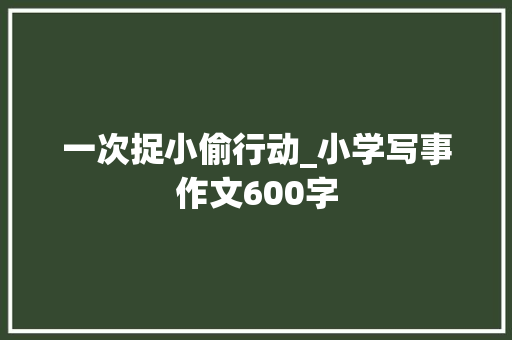 一次捉小偷行动_小学写事作文600字