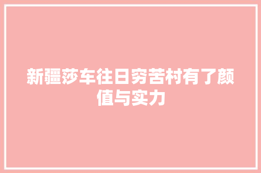 新疆莎车往日穷苦村有了颜值与实力