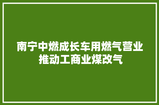 南宁中燃成长车用燃气营业 推动工商业煤改气
