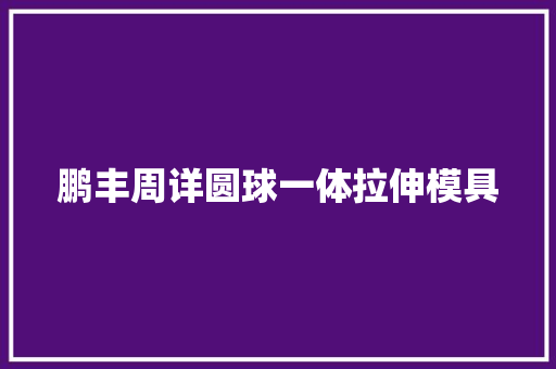 鹏丰周详圆球一体拉伸模具