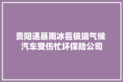 贵阳遇暴雨冰雹极端气候 汽车受伤忙坏保险公司