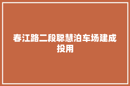 春江路二段聪慧泊车场建成投用