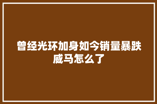 曾经光环加身如今销量暴跌威马怎么了