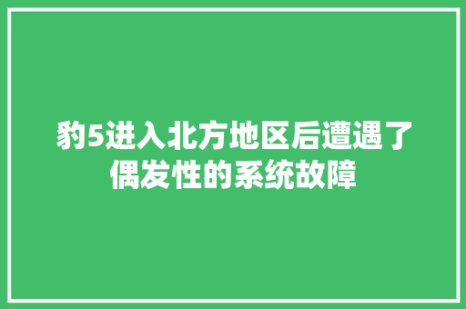豹5进入北方地区后遭遇了偶发性的系统故障