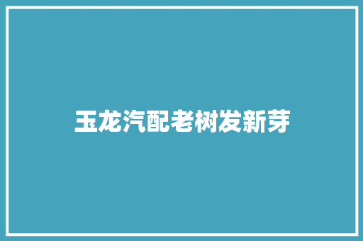 玉龙汽配老树发新芽
