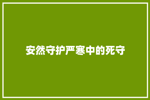 安然守护严寒中的死守