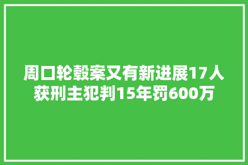 周口轮毂案又有新进展17人获刑主犯判15年罚600万