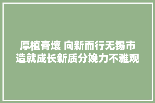 厚植膏壤 向新而行无锡市造就成长新质分娩力不雅观察实录