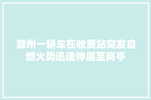 滁州一轿车在收费站突发自燃火势迅速伸展至岗亭