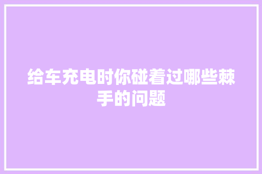 给车充电时你碰着过哪些棘手的问题