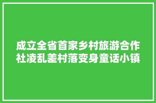 成立全省首家乡村旅游合作社凌乱差村落变身童话小镇陈学新让丽人桑梓真正成为美的引领者