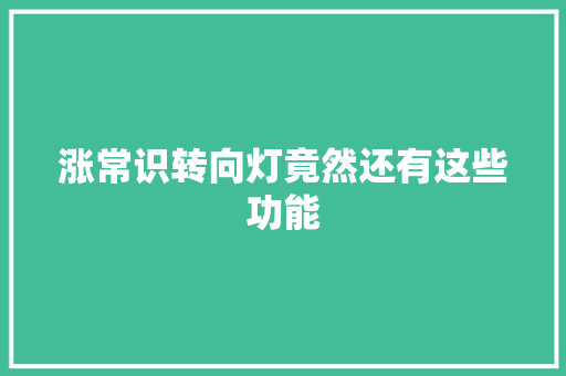涨常识转向灯竟然还有这些功能