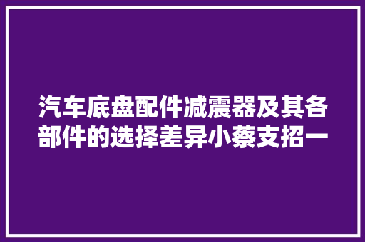 汽车底盘配件减震器及其各部件的选择差异小蔡支招一