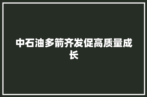 中石油多箭齐发促高质量成长