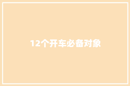 12个开车必备对象