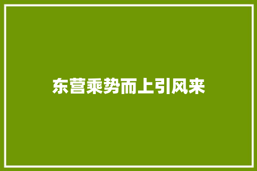 东营乘势而上引风来