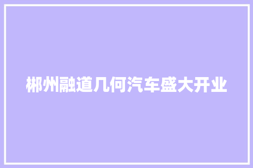 郴州融道几何汽车盛大开业