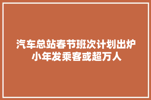 汽车总站春节班次计划出炉 小年发乘客或超万人