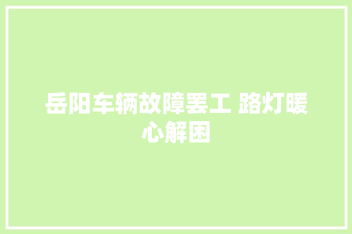 岳阳车辆故障罢工 路灯暖心解困