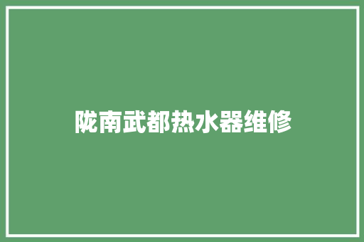陇南武都热水器维修