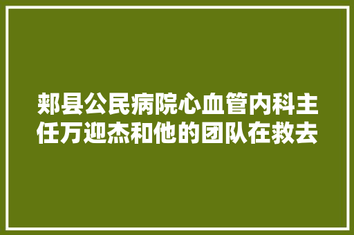 郏县公民病院心血管内科主任万迎杰和他的团队在救去世扶伤追求卓越的路年夜将医者仁心进行到底