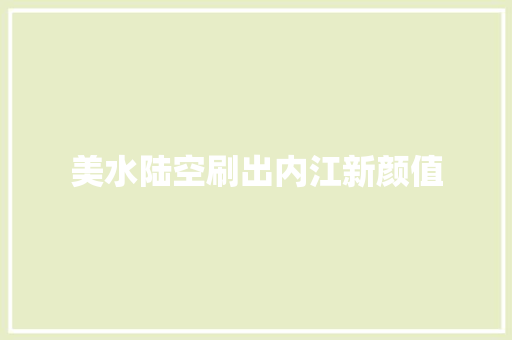 美水陆空刷出内江新颜值