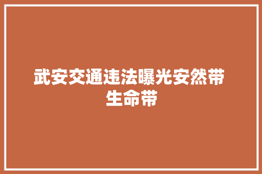 武安交通违法曝光安然带 生命带