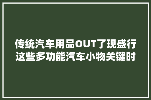 传统汽车用品OUT了现盛行这些多功能汽车小物关键时大年夜资助