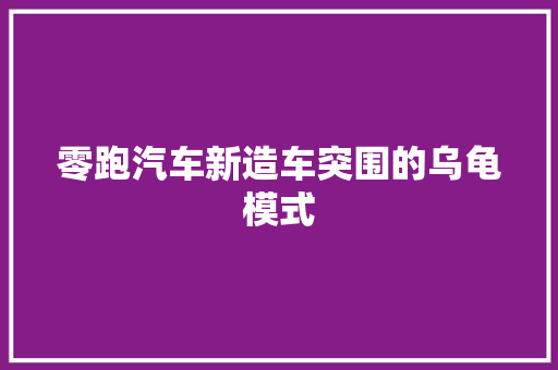 零跑汽车新造车突围的乌龟模式