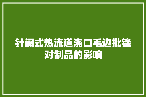 针阀式热流道浇口毛边批锋对制品的影响