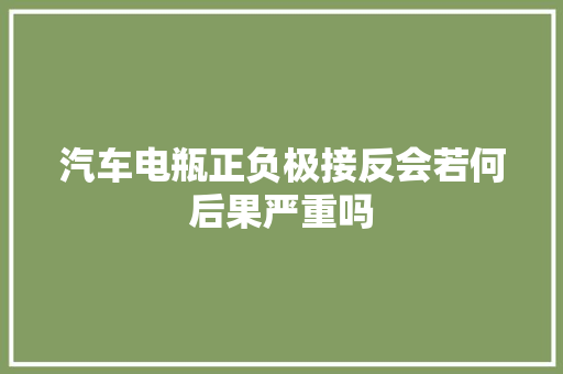 汽车电瓶正负极接反会若何后果严重吗
