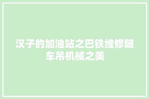 汉子的加油站之巴铁维修随车吊机械之美