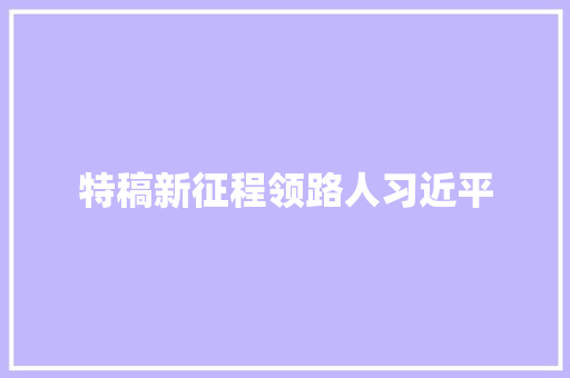 特稿新征程领路人习近平