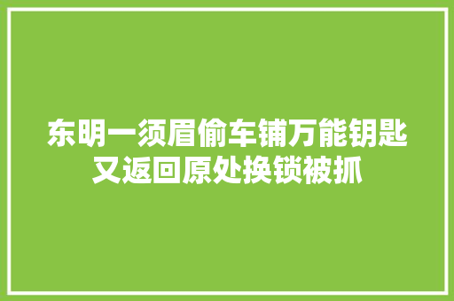 东明一须眉偷车铺万能钥匙又返回原处换锁被抓