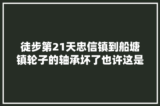 徒步第21天忠信镇到船塘镇轮子的轴承坏了也许这是好事