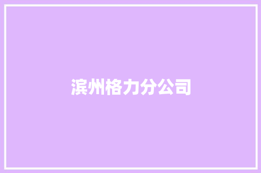 滨州格力分公司