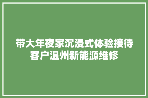 带大年夜家沉浸式体验接待客户温州新能源维修