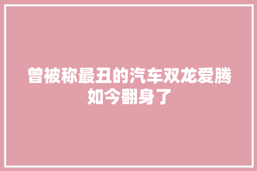 曾被称最丑的汽车双龙爱腾如今翻身了