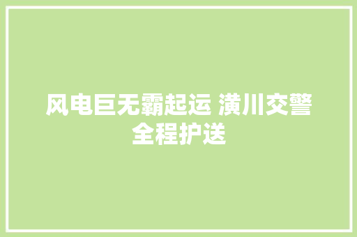 风电巨无霸起运 潢川交警全程护送