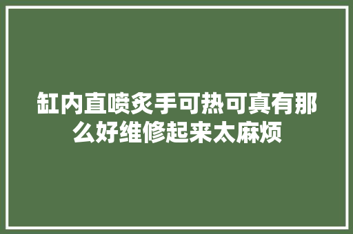 缸内直喷炙手可热可真有那么好维修起来太麻烦