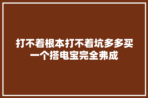 打不着根本打不着坑多多买一个搭电宝完全弗成