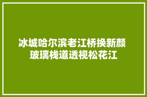 冰城哈尔滨老江桥换新颜 玻璃栈道透视松花江