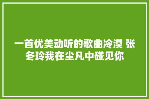 一首优美动听的歌曲冷漠 张冬玲我在尘凡中碰见你