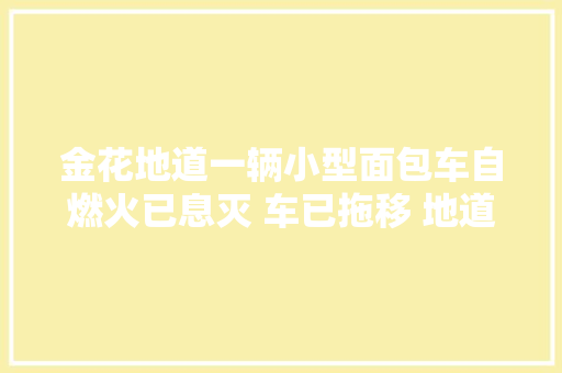 金花地道一辆小型面包车自燃火已息灭 车已拖移 地道交通恢复正常