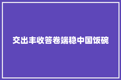 交出丰收答卷端稳中国饭碗