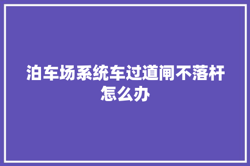 泊车场系统车过道闸不落杆怎么办