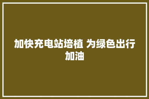 加快充电站培植 为绿色出行加油